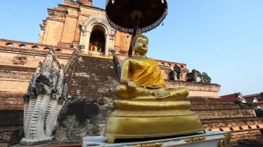 Antik tapınak Wat Chedi Luang görüntüleri. Chiang Mai, Tayland. en büyük pagoda Chedi Tayland