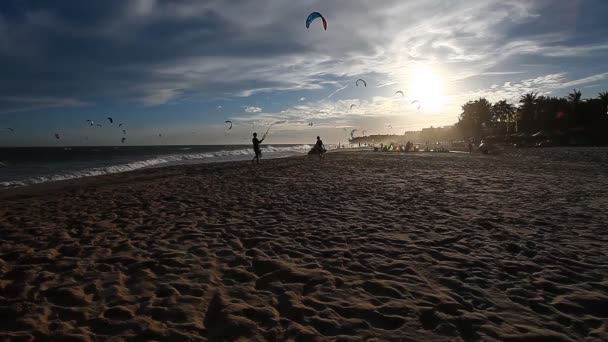 Kitesurfers at sunset time — Stock Video