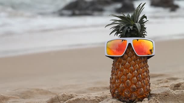 Cheerful pineapple on vacation — Stock Video