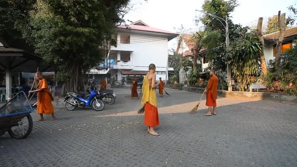 Chiang mai, thailand-februar 2017: Eine gruppe junger buddhistischer mönche reinigt das gebiet ihres klosters von herabfallenden blättern. Das Leben der thailändischen Mönche. — Stockvideo