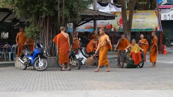 Chiang Mai, Thailandia-14 febbraio 2017: Un gruppo di giovani monaci buddisti pulisce il territorio del loro monastero dalle foglie cadute. La vita dei monaci thailandesi . — Video Stock