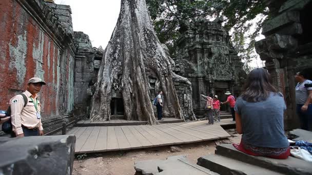 Angkor Ta Prom Wat, Kambodža - 15. ledna 2017: Turisté v jednom z nejpopulárnějších chrámů Angkor. Absorbovány do džungle chrám, stěny a věže, která zahalila kořeny tropických stromů. — Stock video
