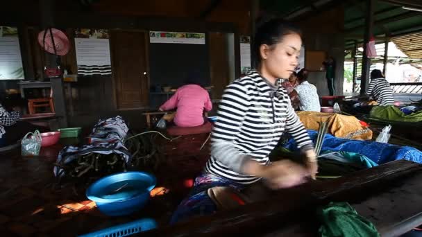 Siam rip, Kambodscha - 15. Januar 2017: Ein junges kambodschanisches Mädchen extrahiert die Stiele der Lotusfaser und verdreht sie zu einem Lotusfaden für die weitere Produktion von Lotustuch. — Stockvideo
