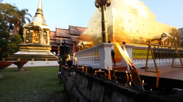 Буддийский храм. Буддийский храм. Golden stupa in the temple Wat Phra Singh .Chang Mai, Northern Thailand — стоковое видео