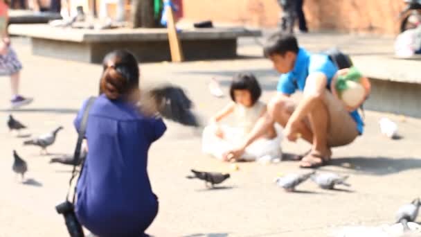 Família feliz caminha junto e alimenta os pássaros no Parque. Imagens desfocadas — Vídeo de Stock