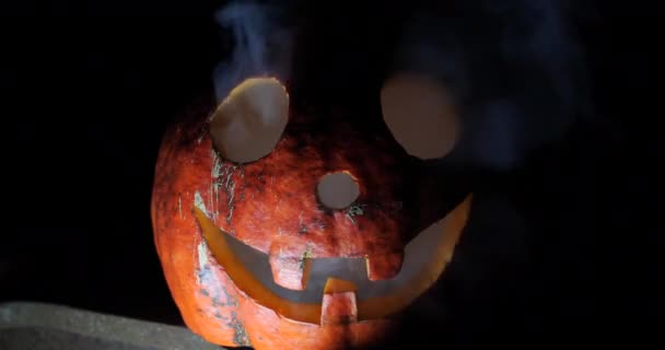 Loco divertido gato calabaza en halloween primer plano en la oscuridad — Vídeo de stock