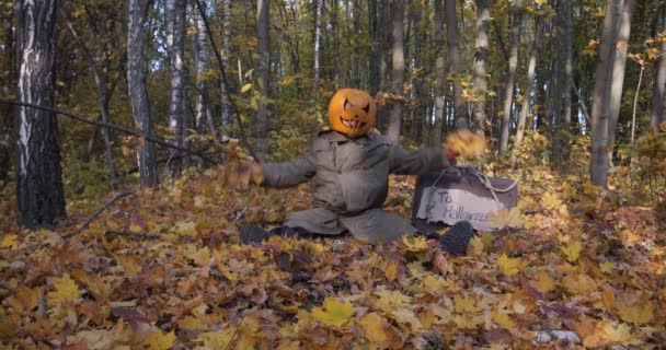 Boze en enge Zombie pompoen in herfst bos. — Stockvideo