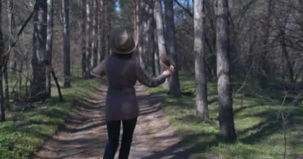 Jovem viajante feliz menina com ukulele na natureza — Vídeo de Stock