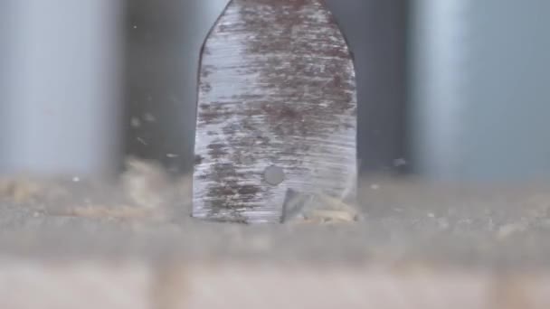 Super macro bel filmato di perforazione di un legno con segatura volante — Video Stock