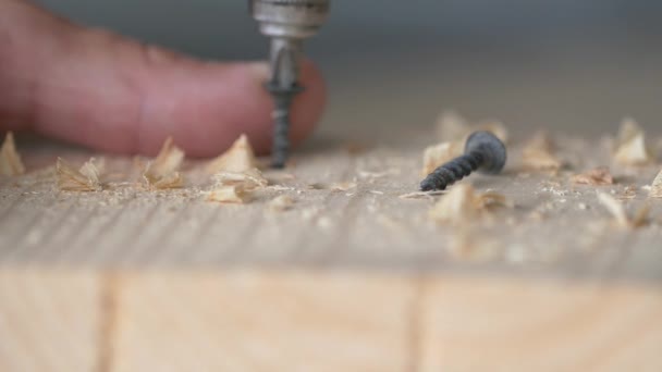 Tornillo de madera y destornillador primer plano cámara lenta primer plano. — Vídeo de stock