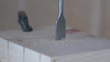 Süper makro güzel görüntüler Uçan talaşla ahşap delme