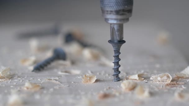 Wood screw and screwdriver close-up slow motion footage close-up. — Stock Video