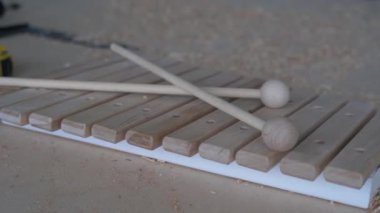Eko oyuncaklar ve ahşaptan yapılmış müzik aletleri. Usta bir marangoz çocuklar için el yapımı ksilofon yapar..