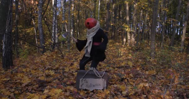 Halloween humeur .Halloween film .Funny citrouille homme dans la forêt d'automne — Video