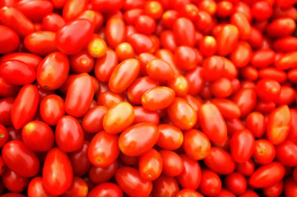 Läckra Röda Tomater Sommarbricka Marknad Jordbruk Gård Full Ekologiska Grönsaker — Stockfoto