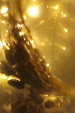 Bulanık ışıkları ve Bokeh, Festival tasarım, Noel ve mutlu yeni yıl için arka plan.