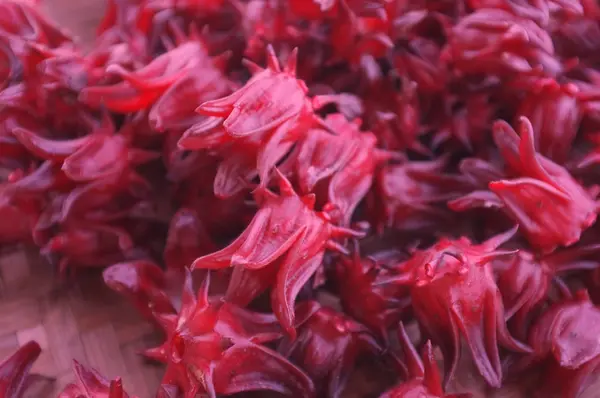 Flores Rosal Hibisco Después Cosecha Para Deshidratación Conservación — Foto de Stock