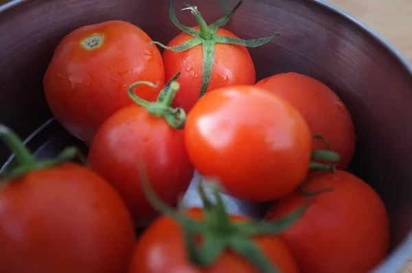 Nära Håll Tomater Metall Skål — Stockfoto