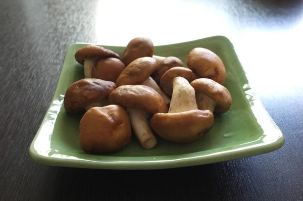 Mushrooms on green dish — Stock Photo, Image