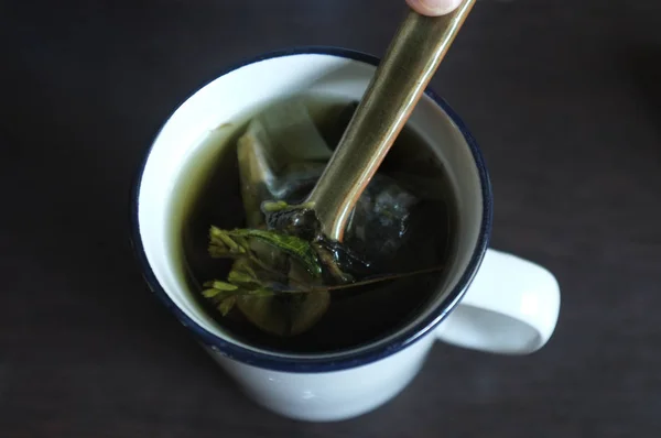 Thé aux feuilles de stévia vertes et séchées — Photo