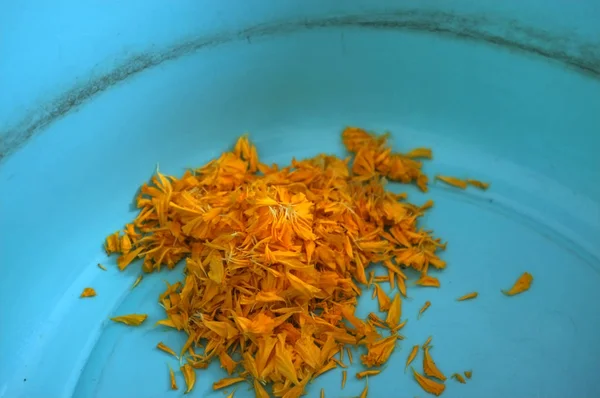 Sarı marigolds yakın çekim — Stok fotoğraf