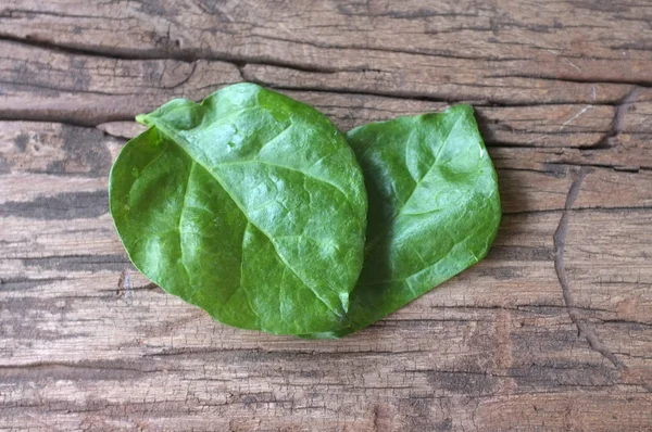 Heart symbol made Jasmine leafs . Concept love , Love mother — Stock Photo, Image