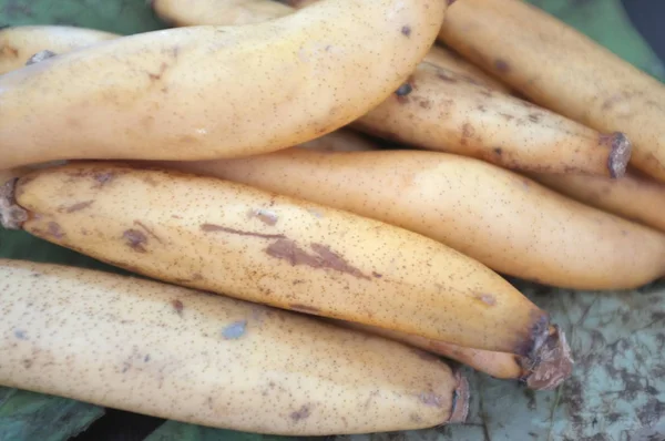 RAW Organic Lotus root gotowy do gotowania, tajski surowego przekąskę — Zdjęcie stockowe