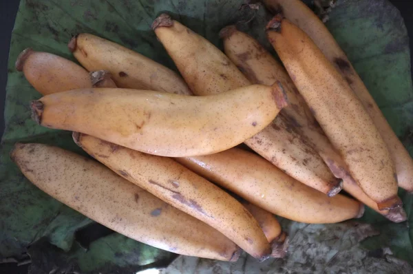Raw Organic Lotus Root Listo para cocinar, snack crudo tailandés — Foto de Stock