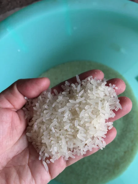 Hermoso fondo. Mano femenina sosteniendo arroz sin cocer  . —  Fotos de Stock