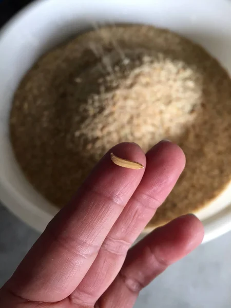 Hermoso fondo. Mano femenina sosteniendo arroz sin cocer  . —  Fotos de Stock