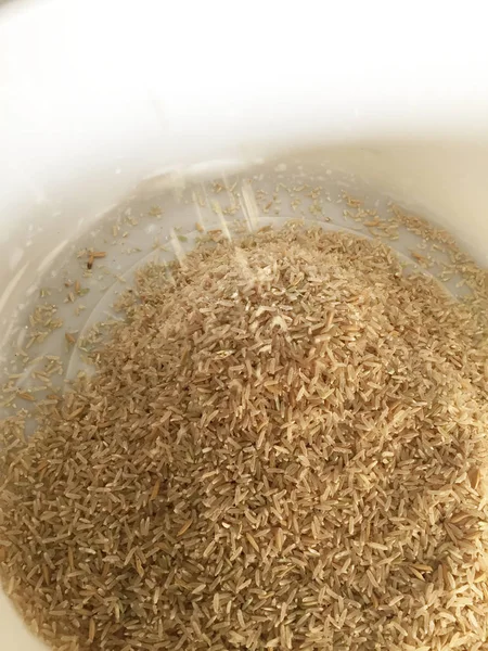 Tekstura ryżu bliska. Naturalne tło ryżu i tekstury. Thai Rice w: Sakon Nakhon — Zdjęcie stockowe