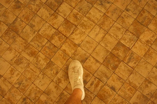 Top vy över vit sneaker, fotograferad mot ceremiskt golv — Stockfoto