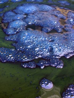 Close up , Nature dyeing fabric with indigo water background clipart
