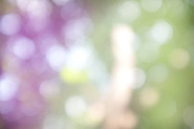 Işığın soyut dairesel bokeh arkaplanı. Bulanık arkaplan