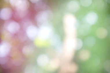 Işığın soyut dairesel bokeh arkaplanı. Bulanık arkaplan