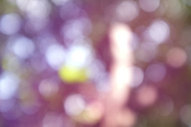 Işığın soyut dairesel bokeh arkaplanı. Bulanık arkaplan