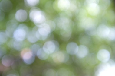 Işığın soyut dairesel bokeh arkaplanı. Bulanık arkaplan