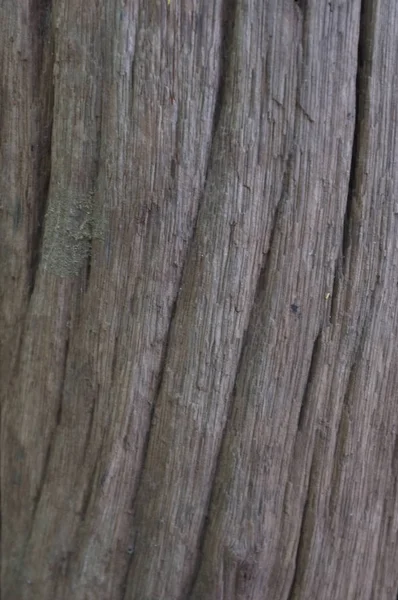 Oberfläche erodiert durch die Zeit, alte Holzstruktur Hintergrund. — Stockfoto