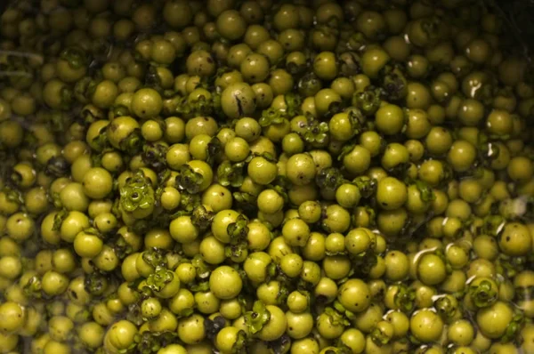 Frutas frescas del mollis de Diospyros Fondo, hierba tailandesa y tintes naturales para la tela — Foto de Stock