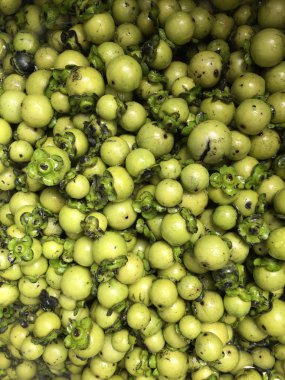 taze ve olgun abanoz meyve Tay yerli ipek veya kumaş boyama 