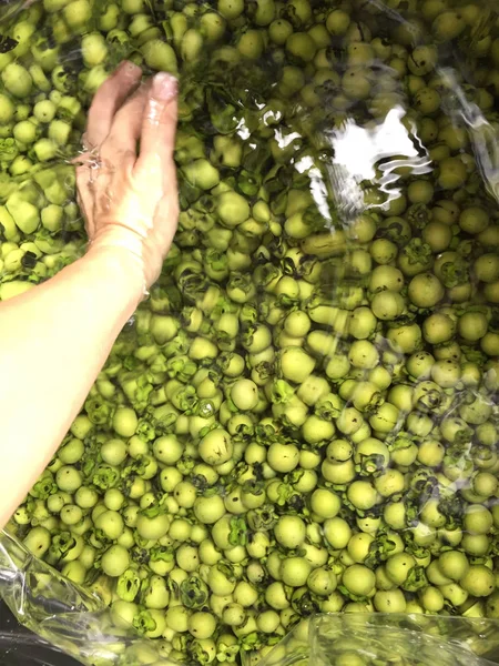 Fruta de ébano fresca y madura la seda nativa tailandesa o teñido de tela — Foto de Stock