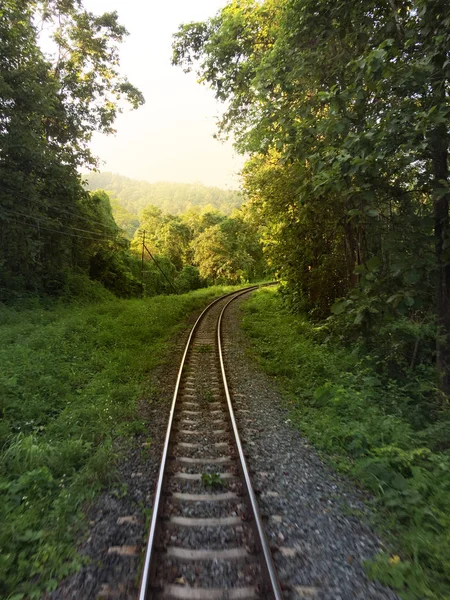 Railway tracks in a rural scene , Thai train travel routes — Stock Photo, Image