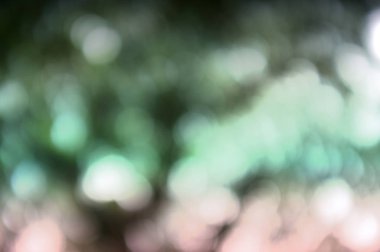 Doğal bokeh dokusuna sahip renkli bir arka plan ve sönmüş parlak ışıklar. Pastel rengi arka plan 