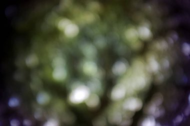 Doğal bokeh dokusuna sahip renkli arkaplan ve sönük parlak ışıklar. 