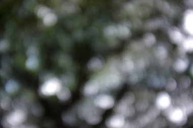 Doğal bokeh dokusuna sahip renkli bir arka plan ve sönmüş parlak ışıklar. Cadılar Bayramı Gecesi İçin Karanlık Arkaplan 