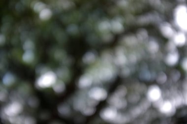 Doğal bokeh dokusuna sahip renkli bir arka plan ve sönmüş parlak ışıklar. Cadılar Bayramı Gecesi İçin Karanlık Arkaplan 