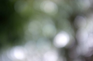 Doğal bokeh dokusuna sahip renkli bir arka plan ve sönmüş parlak ışıklar. Cadılar Bayramı Gecesi İçin Karanlık Arkaplan 