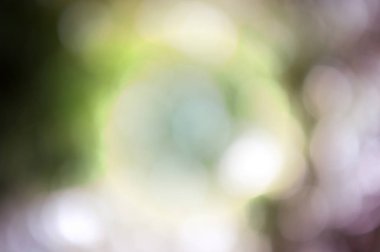 Doğal bokeh dokusuna sahip renkli arkaplan ve sönük parlak ışıklar. 
