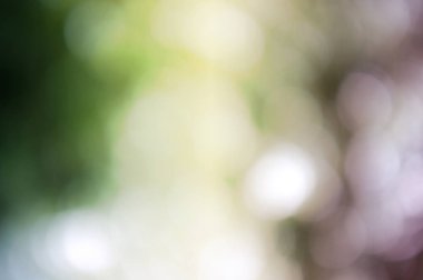 Doğal bokeh dokusuna sahip renkli arkaplan ve sönük parlak ışıklar. 