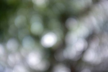 Doğal bokeh dokusuna sahip renkli bir arka plan ve sönmüş parlak ışıklar. Cadılar Bayramı Gecesi İçin Karanlık Arkaplan 